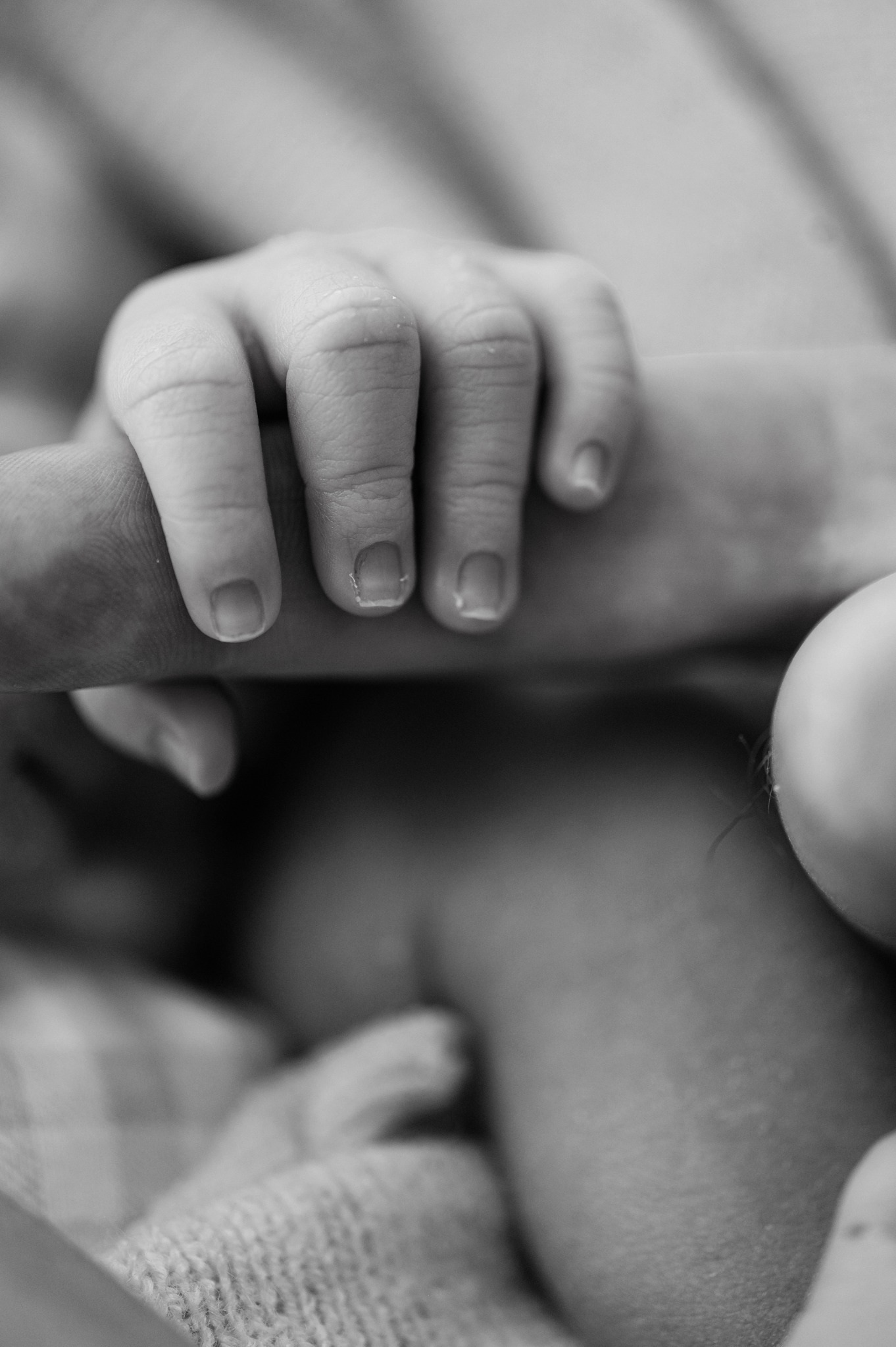 Kimmy M Photography newborn photography