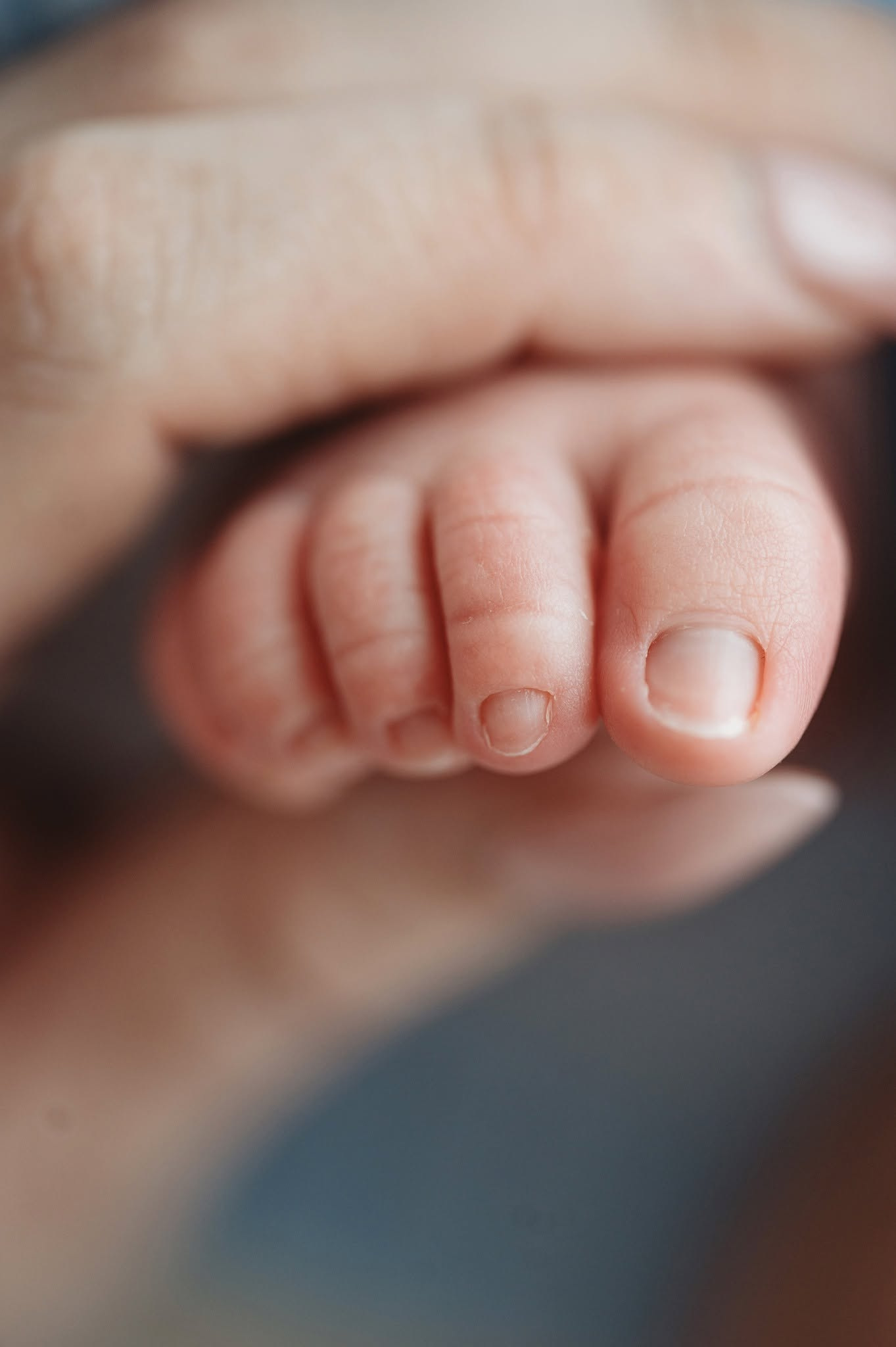 Kimmy M Photography newborn photography